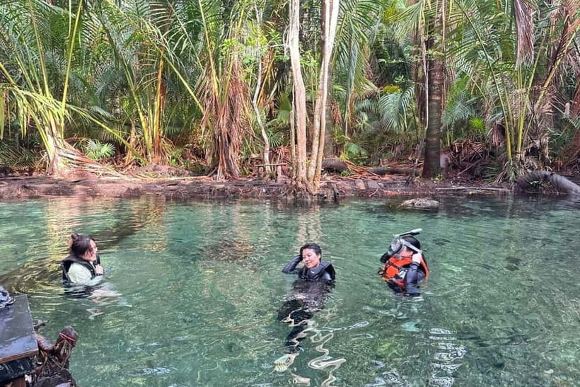 Krabi: Emerald Pool, Hot Springs, and Kayaking Tour - Kayaking under the tree canopy