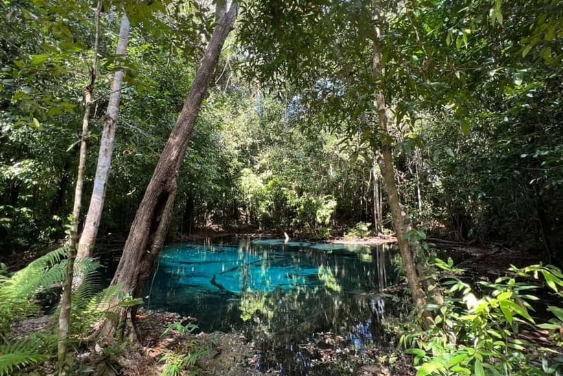 Krabi: Emerald Pool, Hot Springs, and Kayaking Tour - What the $69 price really buys you