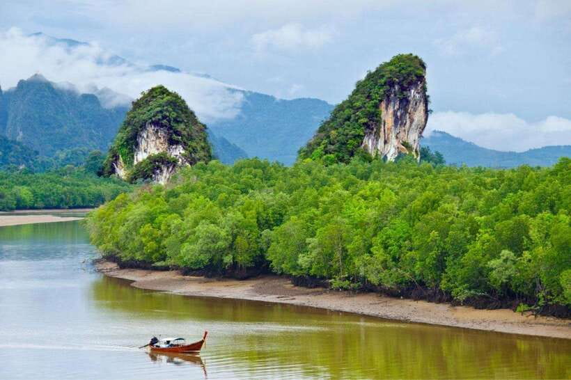 Krabi: Emerald Pool, Hot Springs & Krabi Town Day Tour - A full day from rainforest water to town streets