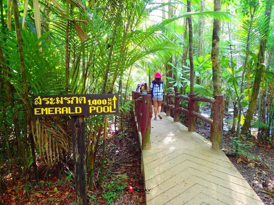Krabi: Klongtom Hot Spring, Emerald Pool and Tiger Cave Tour - Three Krabi highlights in one well-packed day