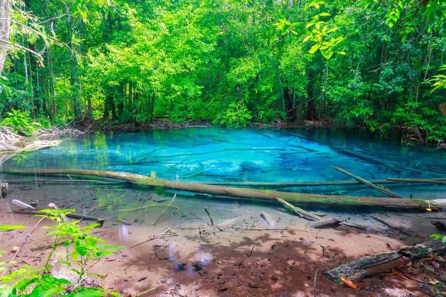 Krabi: Klongtom Hot Spring, Emerald Pool and Tiger Cave Tour - Is $112 a fair price?