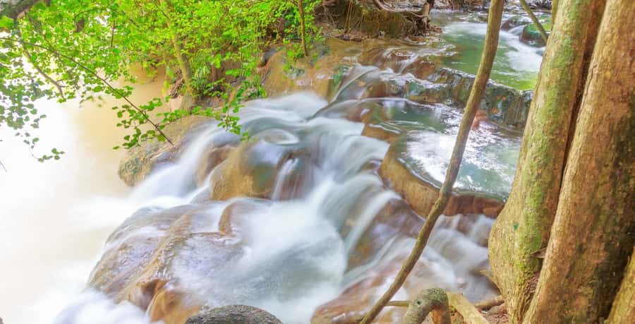 Krabi: Klongtom Hot Spring, Emerald Pool and Tiger Cave Tour - Walking through the forest to Emerald Pool