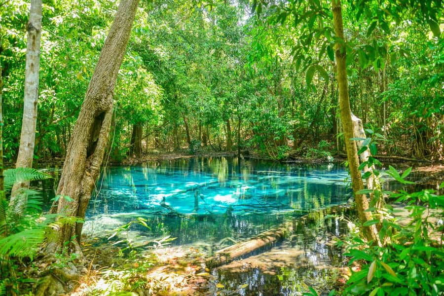 Krabi Private Escape: Emerald Pool, Hot Springs & Tiger Cave - Key points to know before booking