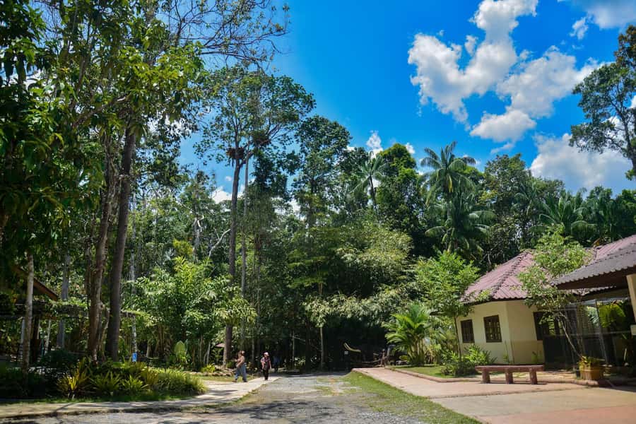 Krabi Private Escape: Emerald Pool, Hot Springs & Tiger Cave - Hot Stream Krabi: the easier water break