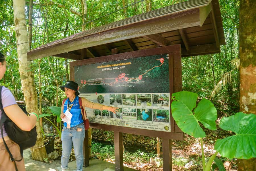 Krabi Private Escape: Emerald Pool, Hot Springs & Tiger Cave - What the private arrangement really gives you