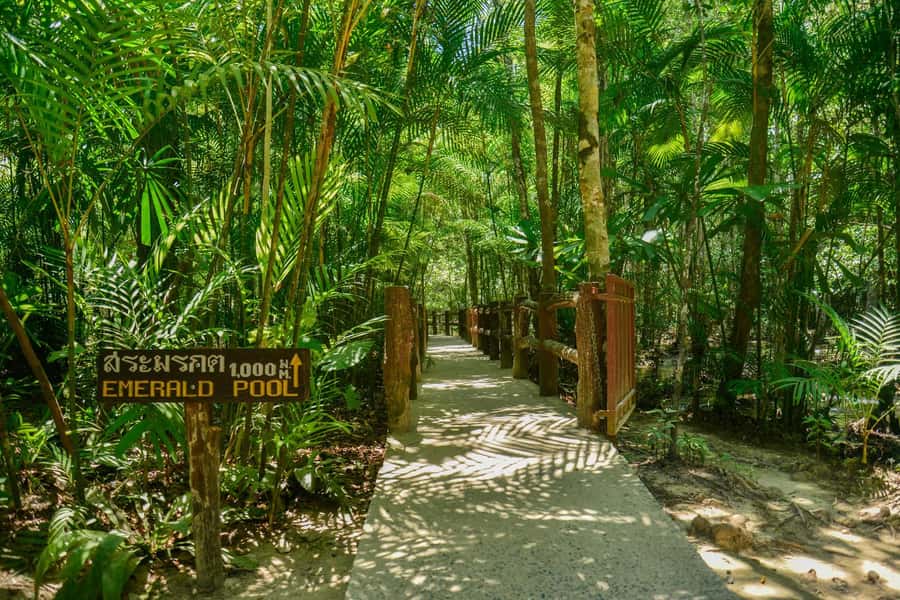 Krabi Private Escape: Emerald Pool, Hot Springs & Tiger Cave - Food, fees, and the real price