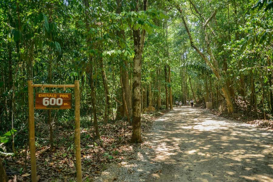 Krabi Private Escape: Emerald Pool, Hot Springs & Tiger Cave - Who should choose this Krabi day trip?