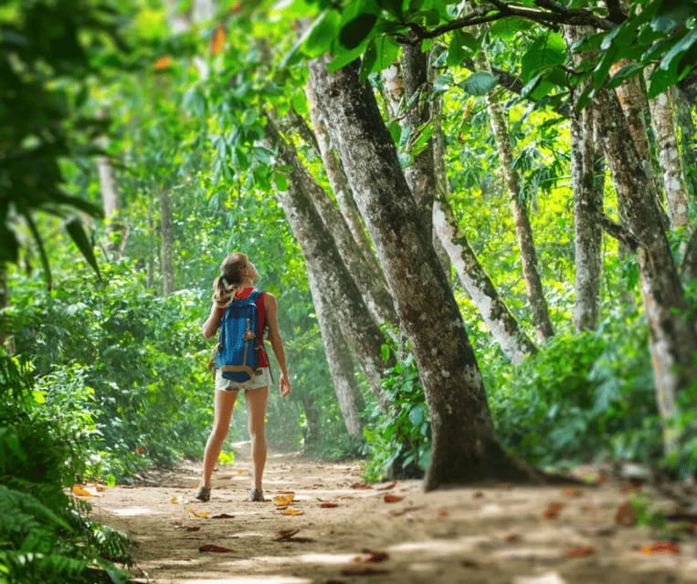 Krabi: Rainforest Jungle Tour with Emerald Pool & Hot Spring - Forest paths, waterfalls, and the suspension bridge