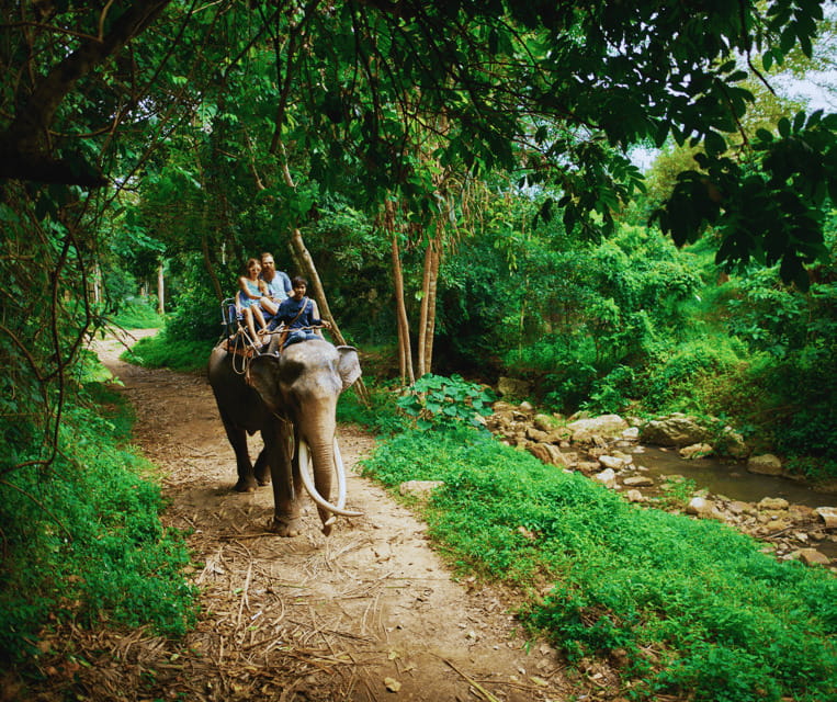 Krabi: Rainforest Jungle Tour with Emerald Pool & Hot Spring - The guide, lunch, and group coordination