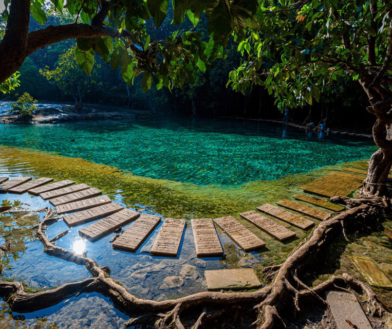 Krabi: Rainforest Jungle Tour with Emerald Pool & Hot Spring - Pickup from Ao Nang and Krabi Town