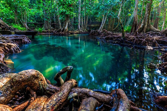 Krabi's Hidden Gems: Emerald Pool & Hot Spring Tour - Pickup, group size, and the day’s pace