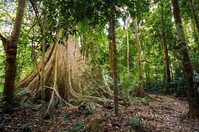 Krabi's Hidden Gems: Emerald Pool & Hot Spring Tour - Who will enjoy this outing most