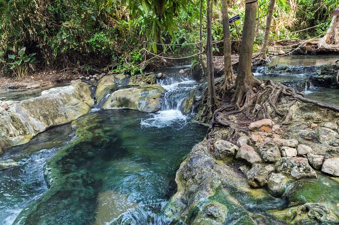 Krabi's Hidden Gems: Emerald Pool & Hot Spring Tour - The Emerald Pool’s green mineral water