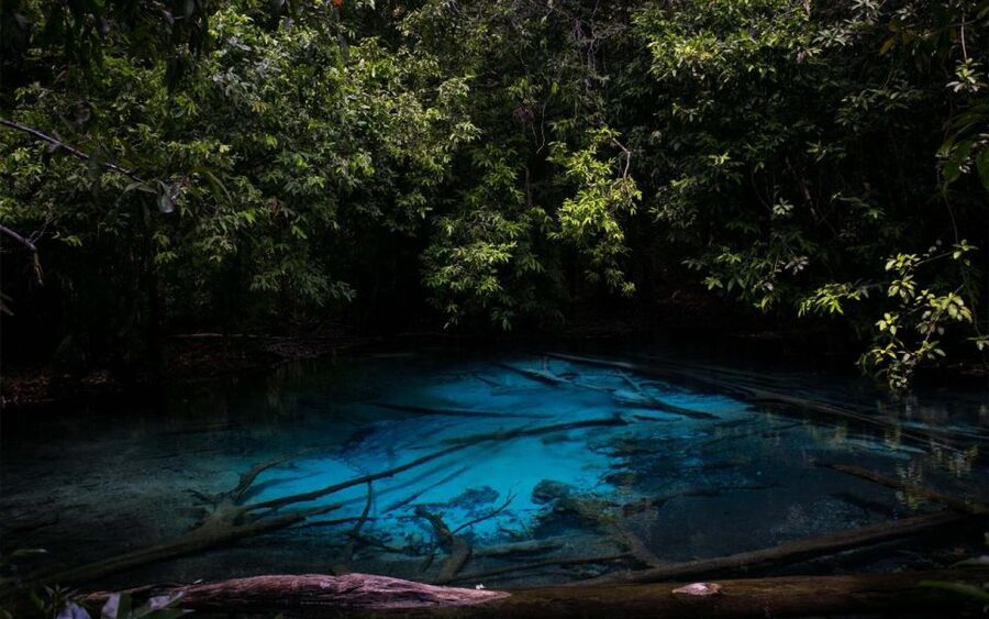 Krabi: Tiger Cave, Hot Springs and Emerald Pool Jungle Tour - Walking to the Emerald Pool