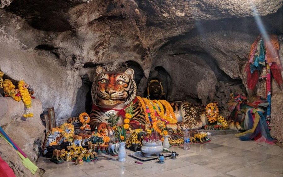 Krabi: Tiger Cave, Hot Springs and Emerald Pool Jungle Tour - Facing Tiger Cave Temple’s steep staircase