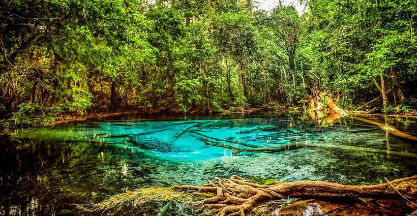 Krabi: Tiger Cave Temple, Emerald Pool and Hot Springs Tour - Local lunch: simple, optional, and worth budgeting for