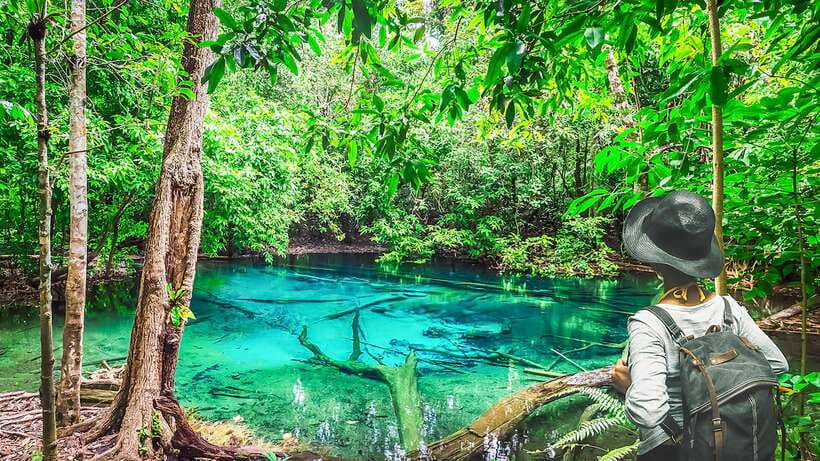 Krabi: Tiger Cave Temple, Emerald Pool and Hot Springs Tour - Emerald Pool: a cool start in the forest