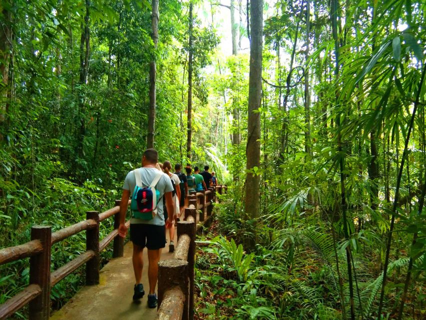 Krabi: Tiger Temple, Hot Springs & Crystal Pool Jungle Tour - Walking through the rainforest to Emerald Pool