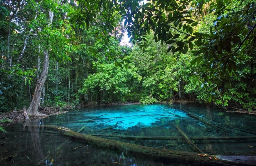 Krabi: Tiger Temple, Hot Springs & Crystal Pool Jungle Tour - Tiger Cave Temple and the 1,260-step test
