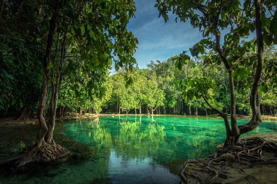 Krabi: Tiger Temple, Hot Springs & Crystal Pool Jungle Tour - Klong Thom’s warm 40°C waterfall