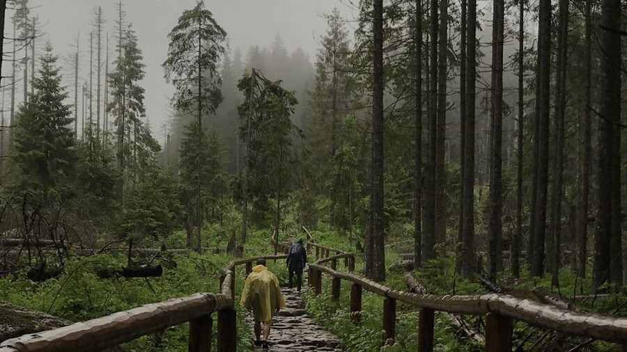 Krakow: Hiking Adventure in Tatra Mountains & Thermal Baths - Five hours among glades, rock, and mountain water