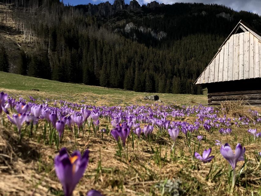 Krakow: Hiking Adventure in Tatra Mountains & Thermal Baths - Is $164 a fair price?