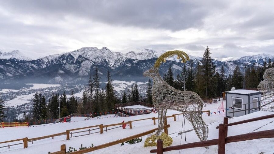 Krakow: Zakopane and/or Thermal Baths Experience - Who should choose this day trip?
