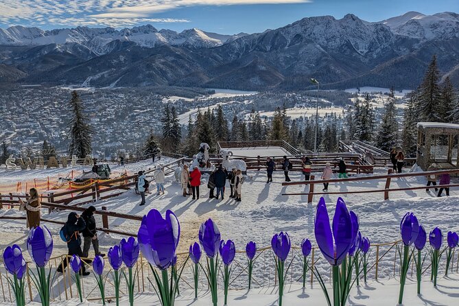 Krakow Zakopane Cable Car Vodka Cheese and Hot Springs Tour - Two and a Half Hours at the Thermal Baths