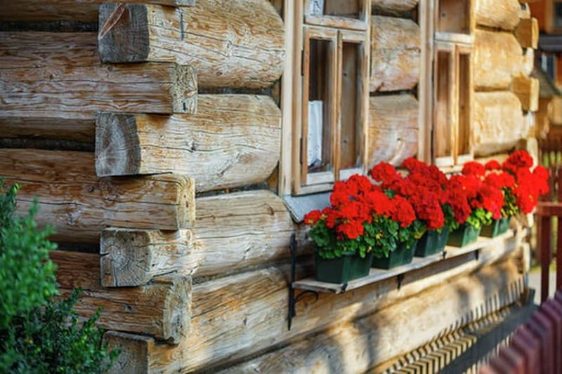 Krakow: Zakopane & Hot Springs Shared Trip - Chocholowska Thermal Baths: the day’s resting point