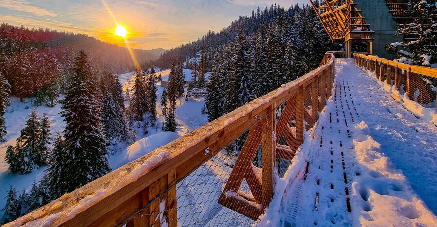 Krakow: Zakopane, Thermal Baths and Gorce Park Treetop Walk - Brama w Gorce: a forest walk with a view