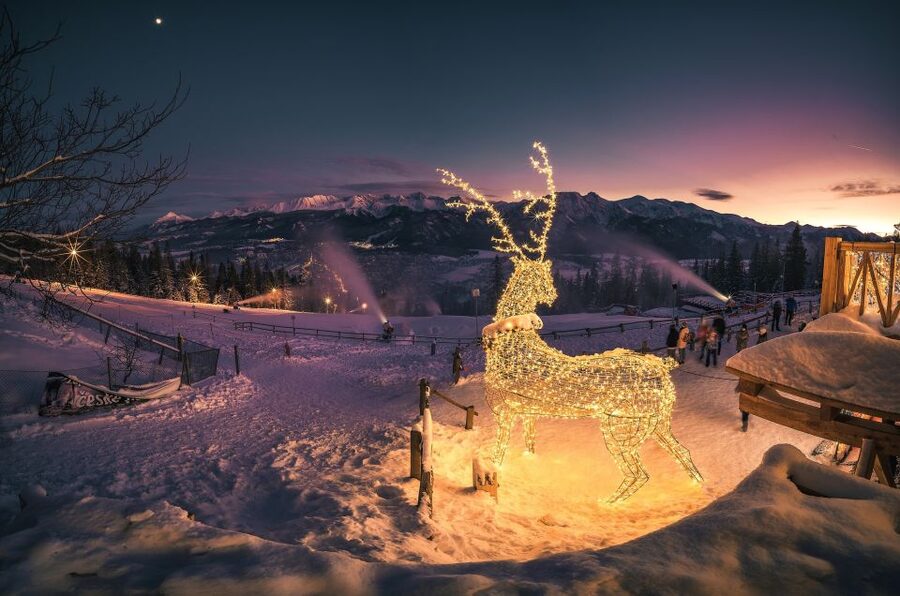 Krakow: Zakopane, Thermal Springs, Cable Car, Local Tasting - Two hours in Zakopane and Krupówki Street