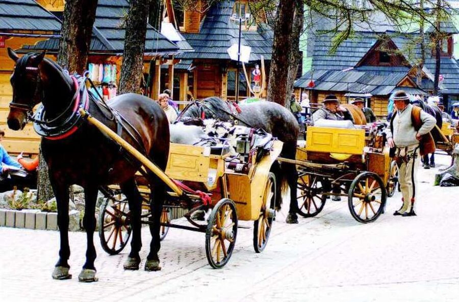 KRAKOW ZAKOPANE TOUR CABLE CAR THERMAL BATHS & HOTEL PICKUP - Finishing at Chochołowskie Thermal Baths