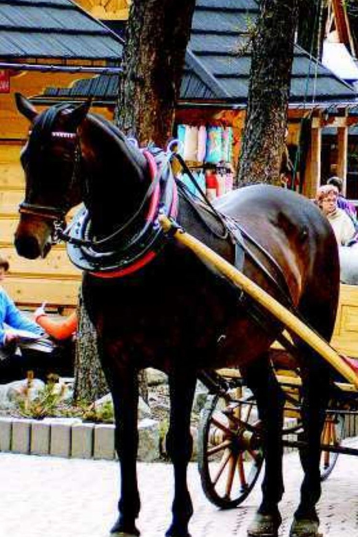 KRAKOW ZAKOPANE TOUR CABLE CAR THERMAL BATHS & HOTEL PICKUP - Timing, comfort, and who should book