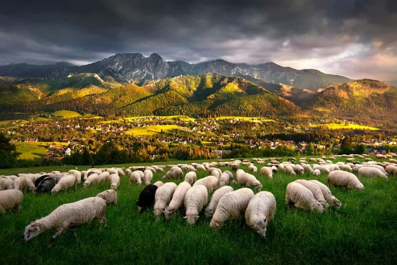 Krakow: Zakopane Trip with Thermal Pools & Hotel Pick-up - Why Zakopane works as a day trip from Krakow