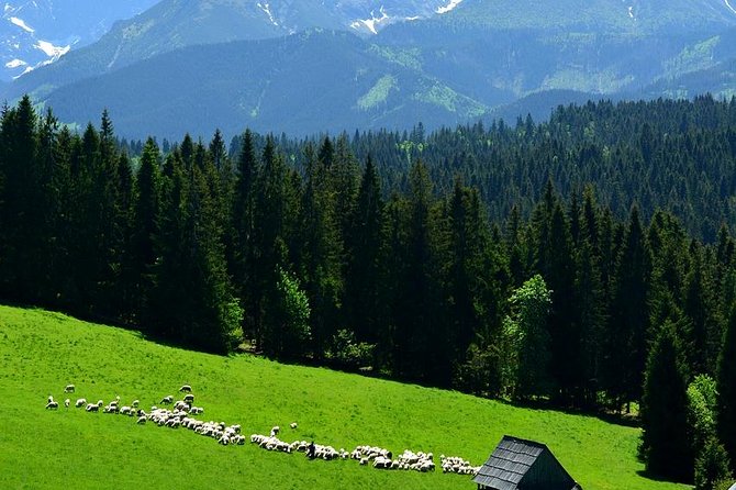 Krakow: Zakopane with Thermal Baths, Cable Car & Hotel Pickup - Free time on Krupowki Street