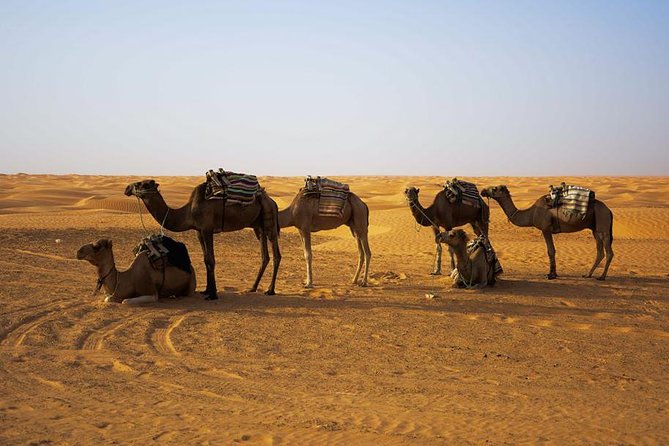 Ksar Ghilane 1 day: The hot spring and the homestay - Toujane: a ten-minute photo stop
