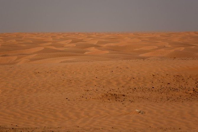 Ksar Ghilane 1 day: The hot spring and the homestay - Rosemary tea and the view from Tamezret