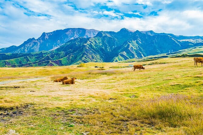 Kyushu: Aso Vocano, Grassland,Onsen and Aso shrine 1-Day Tour - Kusasenri Grassland, Aso’s broad open view