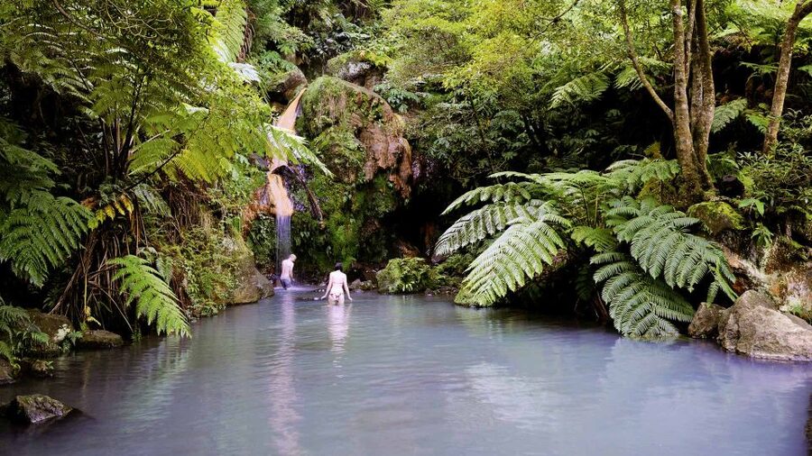 Lagoa do Fogo: Biologist-guided Volcano e-Tour +Hot Springs - Should you book it?