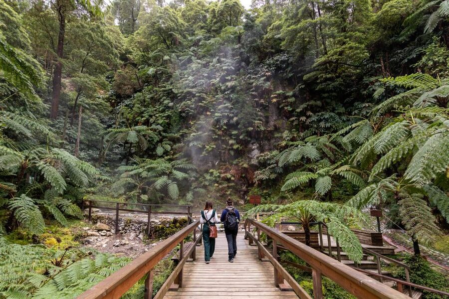 Lagoa do Fogo: Biologist-guided Volcano e-Tour +Hot Springs - Who should book this São Miguel outing?