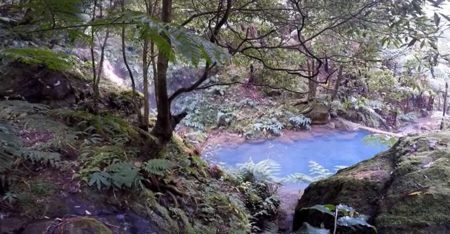 Lagoa do Fogo: Biologist-guided Volcano e-Tour +Hot Springs - Climbing through Pico da Barrosa and Bela Vista