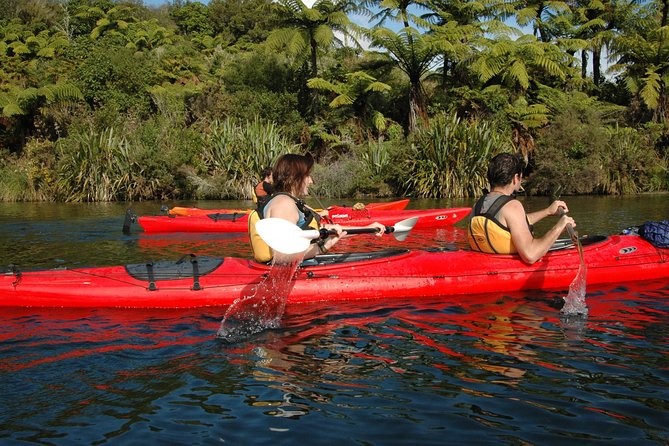 Lake Rotoiti Evening Kayak Tour including Hot Springs, Glowworm Caves and BBQ Dinner - What the NZ$135.91 price includes
