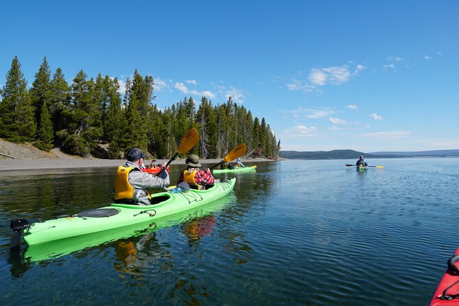 Lake Yellowstone Half Day Kayak Tours Past Geothermal Features - Wildlife watching without turning it into a safari