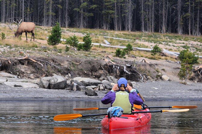Lake Yellowstone Half Day Kayak Tours Past Geothermal Features - Guides who make the four hours work
