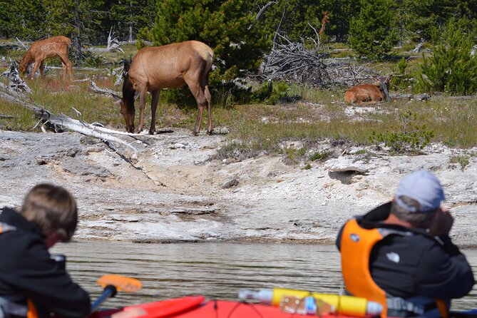 Lake Yellowstone Half Day Kayak Tours Past Geothermal Features - What is included, and what you still need to pack