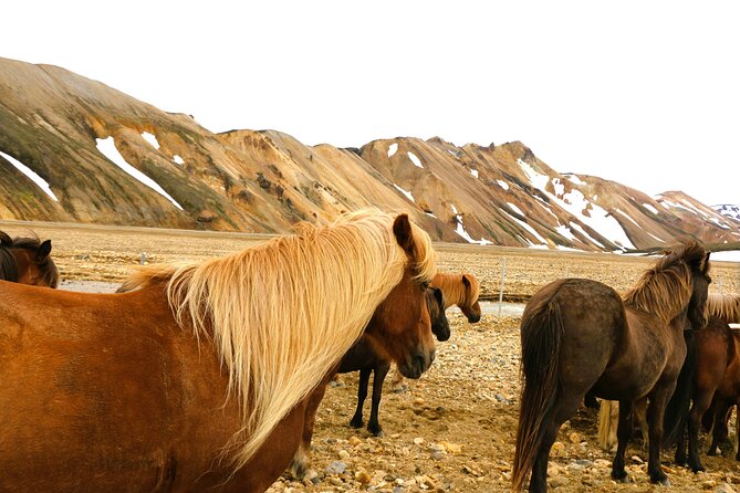 Landmannalaugar Hiking, Haifoss Waterfall and Hot Springs Tour - Leaving Reykjavík for the southern Highlands