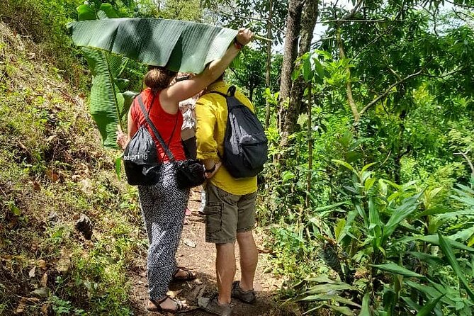 Materuni Waterfall and Kikuletwa Hot Spring Tour - Materuni Waterfall and the Short Forest Walk