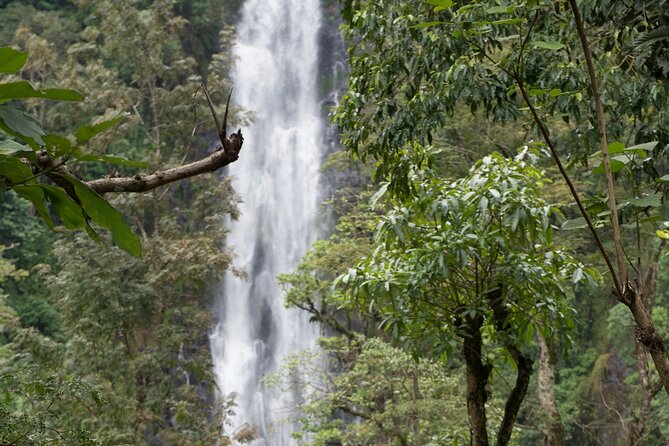 Materuni Waterfall and Kikuletwa Hot Spring Tour - What the Private Tour Format Adds