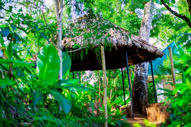 Materuni Waterfall and Kikuletwa Hot Spring Tour - Is $136 a Fair Price?