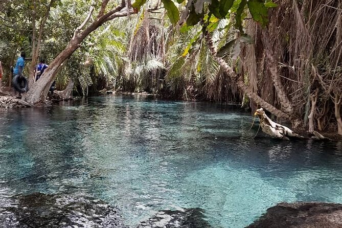 Materuni Waterfall and Kikuletwa Hot Spring Tour - Should You Book the Materuni and Kikuletwa Tour?
